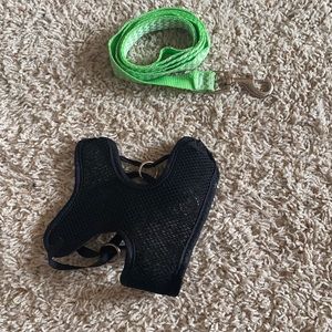 Small pet harness and leash